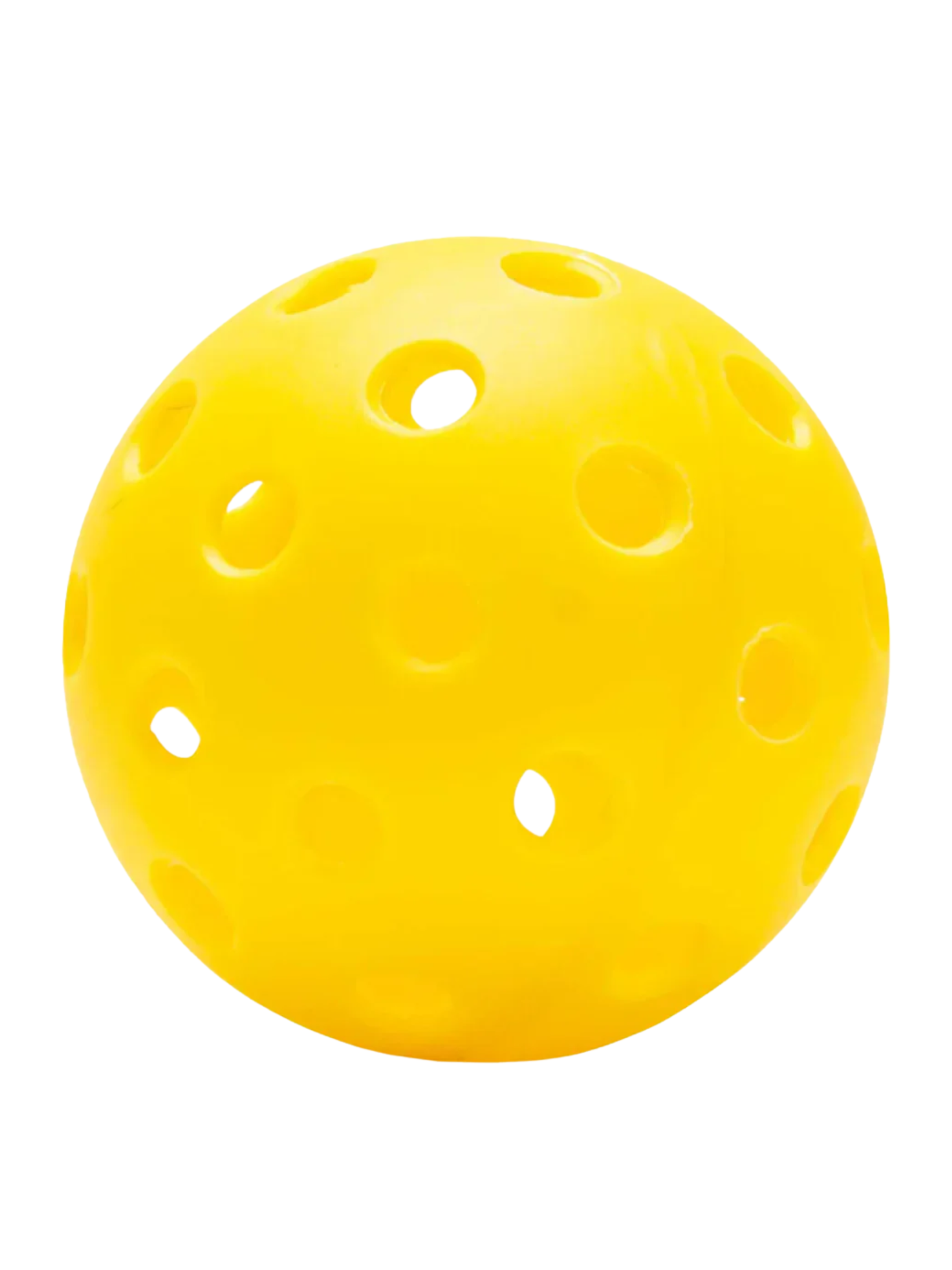 SELKIRK SLK Beginner Club Pickleball Bundle