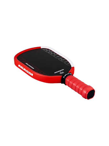 JOOLA Pro IV Mini Pickleball Paddles