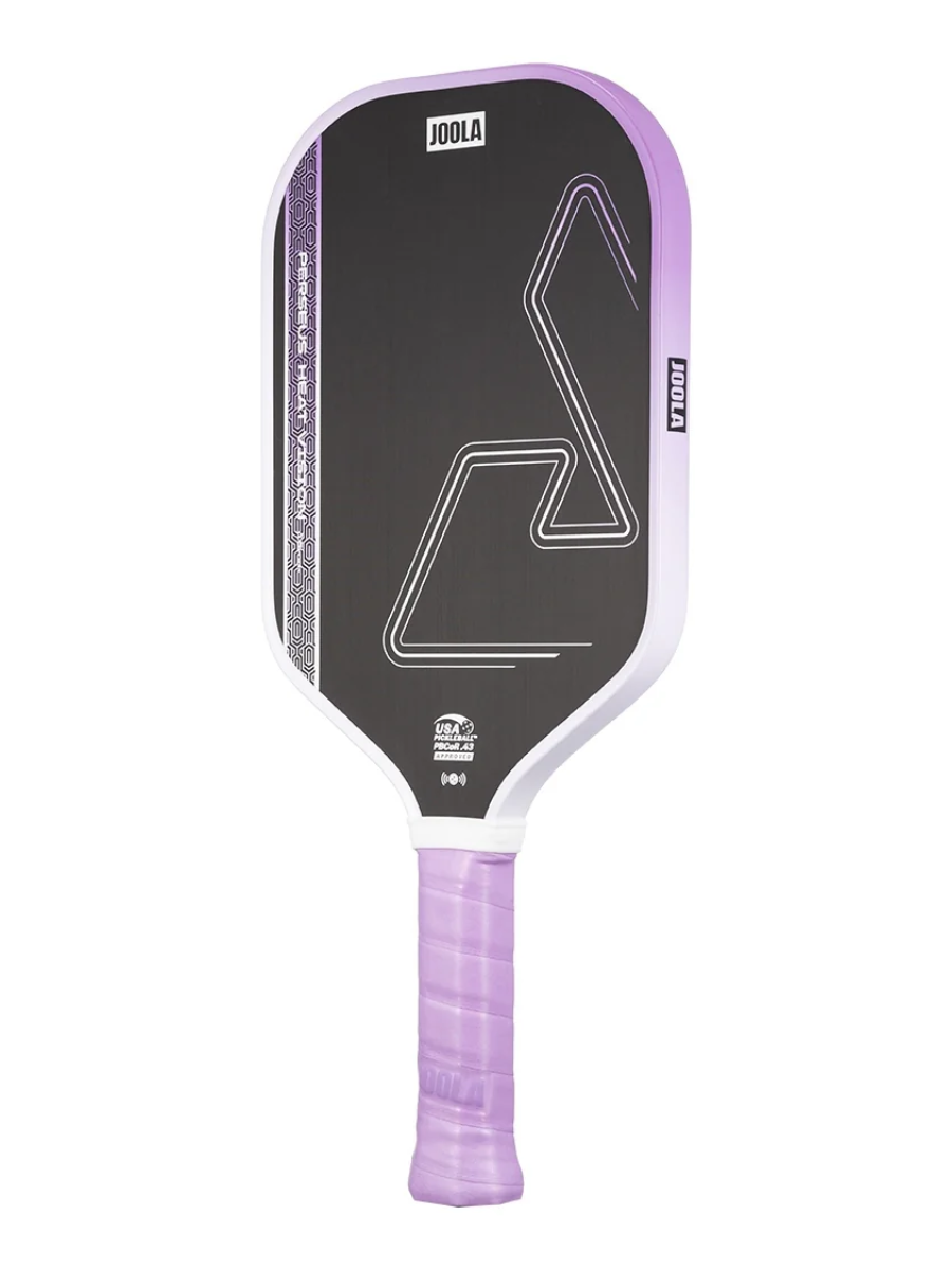 JOOLA Heat Vision Pickleball Pack